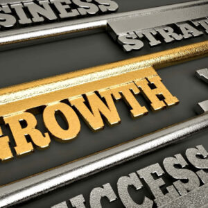Business growth challenges
